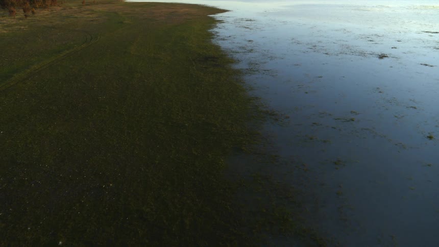 Aerial view of shoreline lake