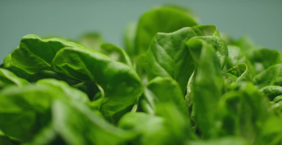 Leafy vegetables are on display in a room