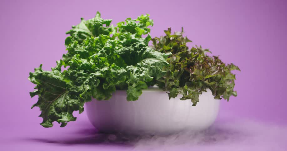 Lettuce leafs inside a white bowl with dry ice mist flowing in front of a fuschia background