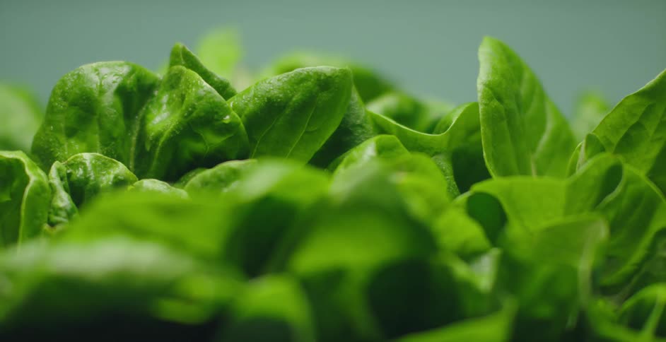 Leafy green vegetables are on display