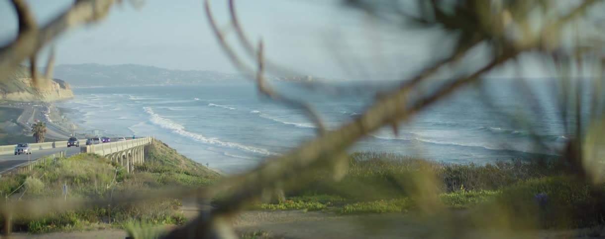 A coastline has waves hitting the shore below