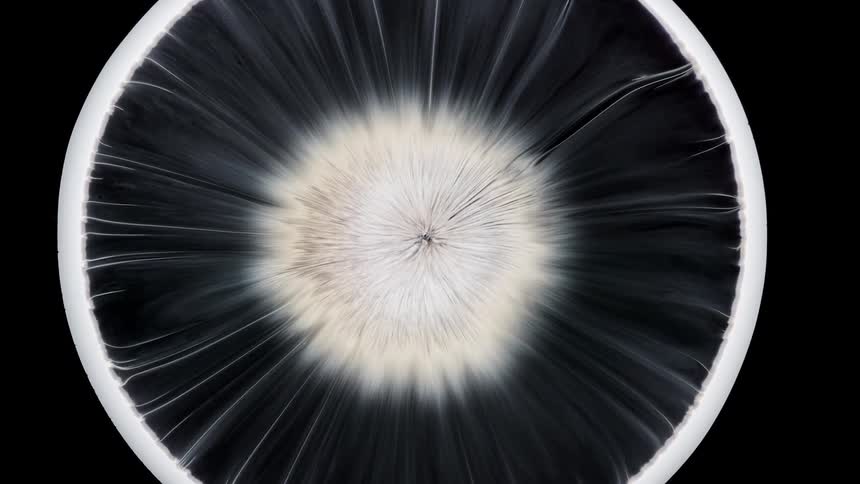 Abstract sphere spreads on black background