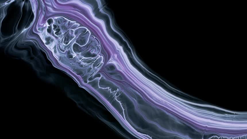 Thin streams of purple and white paint expand outward against a black background