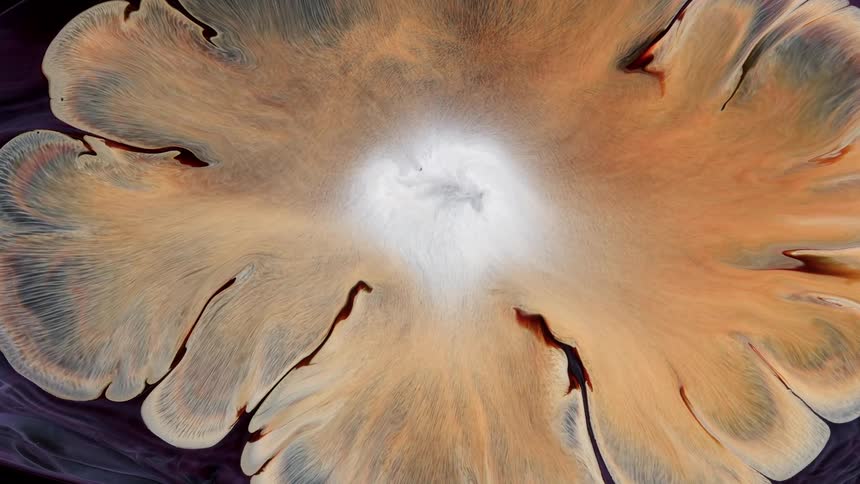 orange and white liquids expand like a flower across the screen