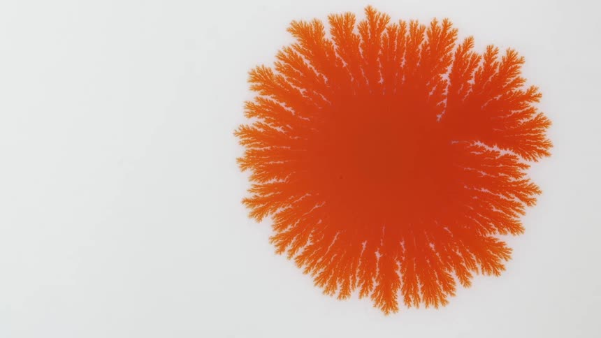 Abstract orange color spreads on white background