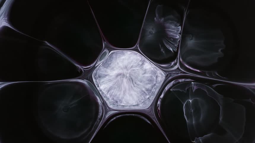 micro cells design is shown in monochrome colors