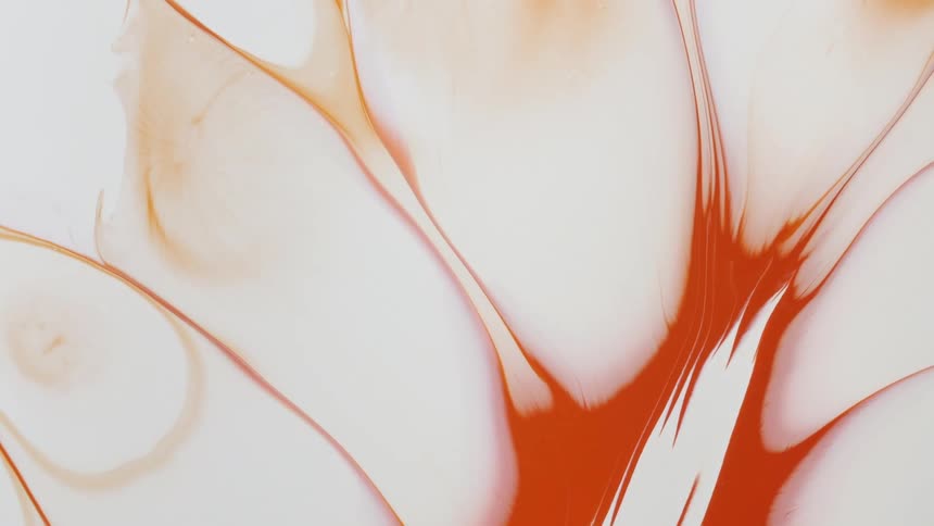 Abstract colors are displayed in orange and white