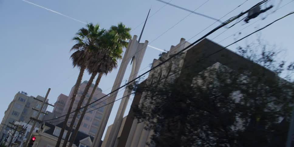 Palm trees stand beside a needle tower on a city street