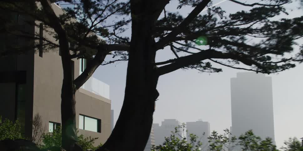 City skyline from a distant with tower building and high rise buildings in fog