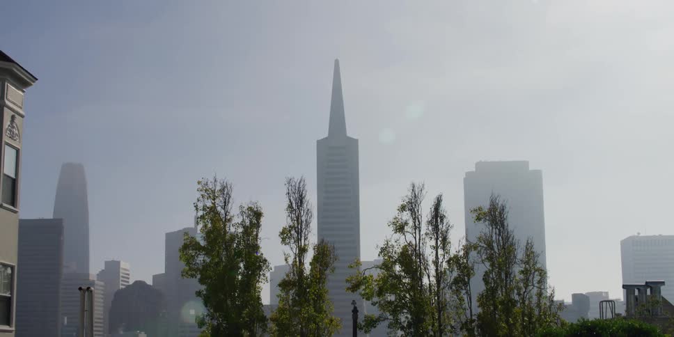 Fog obscures city skyline behind a neighborhood