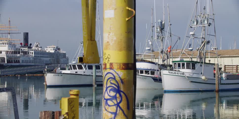 The water surface shimmers as it reflects the boats docked at a marina with a ferry near by