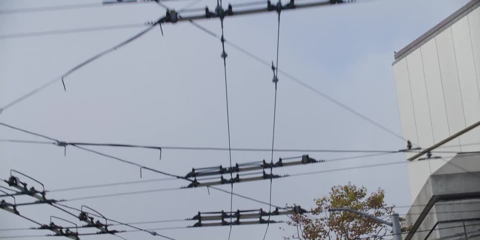 Transmission lines run down a city block