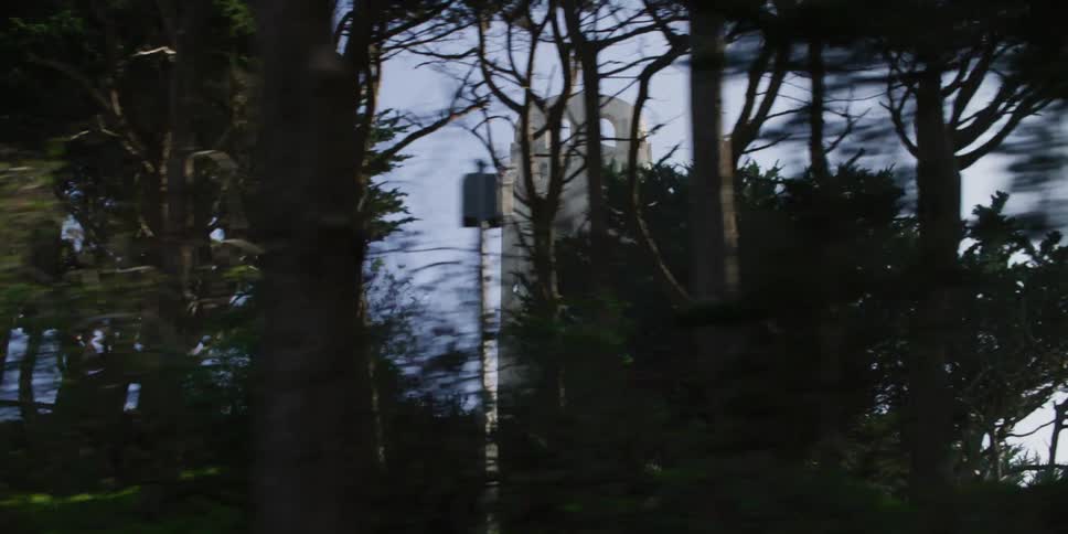 Coit tower in san francisco behind the trees at morning