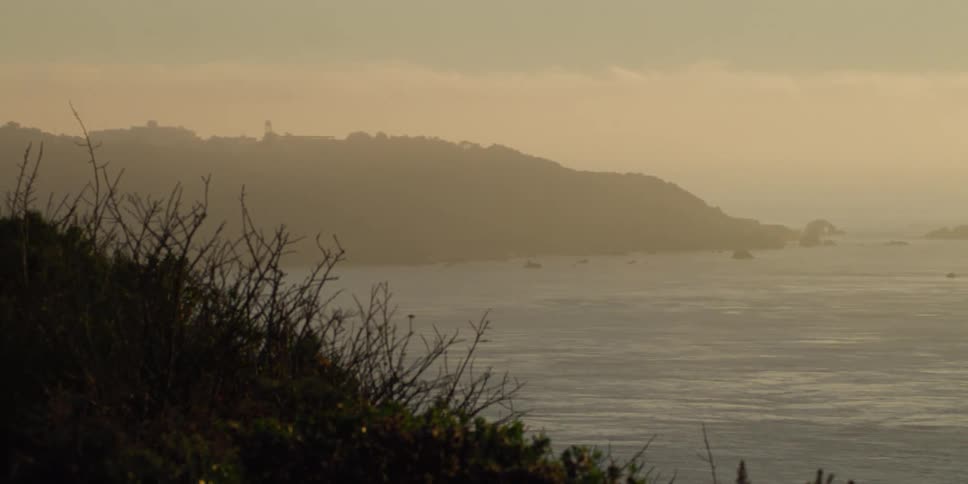 Heavy fog covers the shore