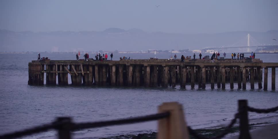 People are walking on a dock on the coast of a beach