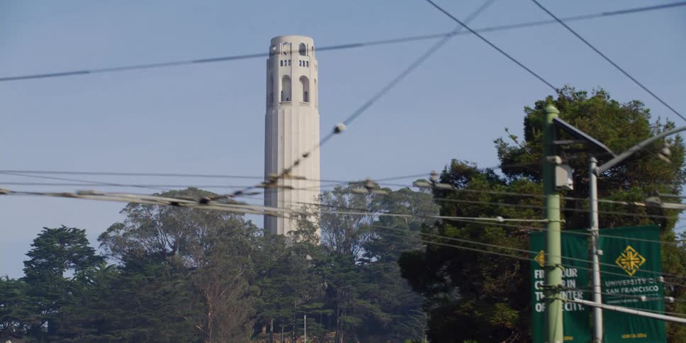 Trees are shown in a suburban city