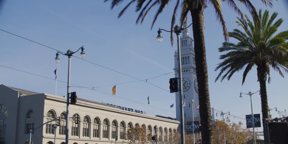 A view of a downtown city with palm trees