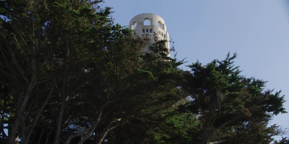 A tall white tower is by the trees