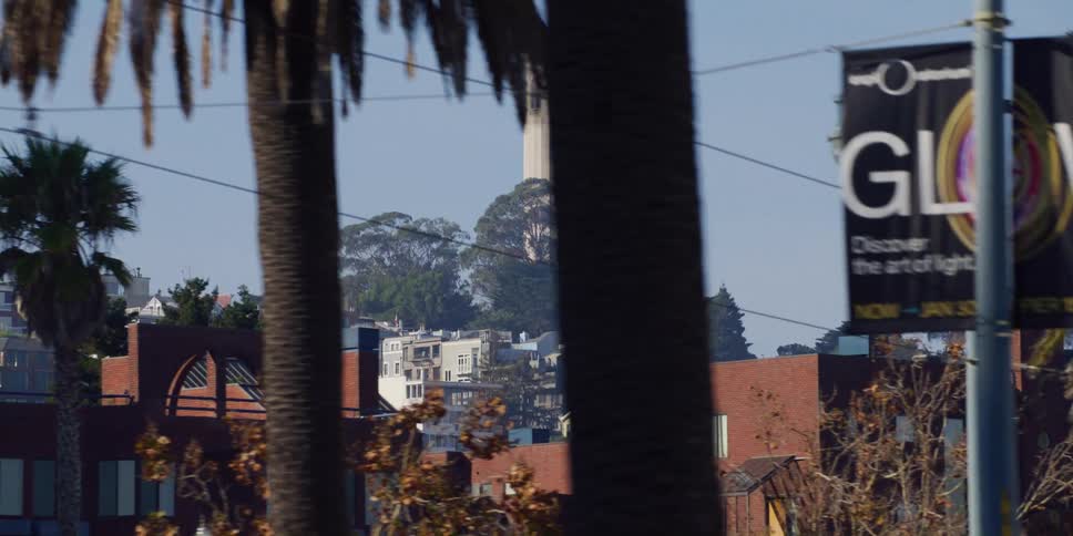 The white coit tower sits on a hill above neighborhood homes and palm tree lined street