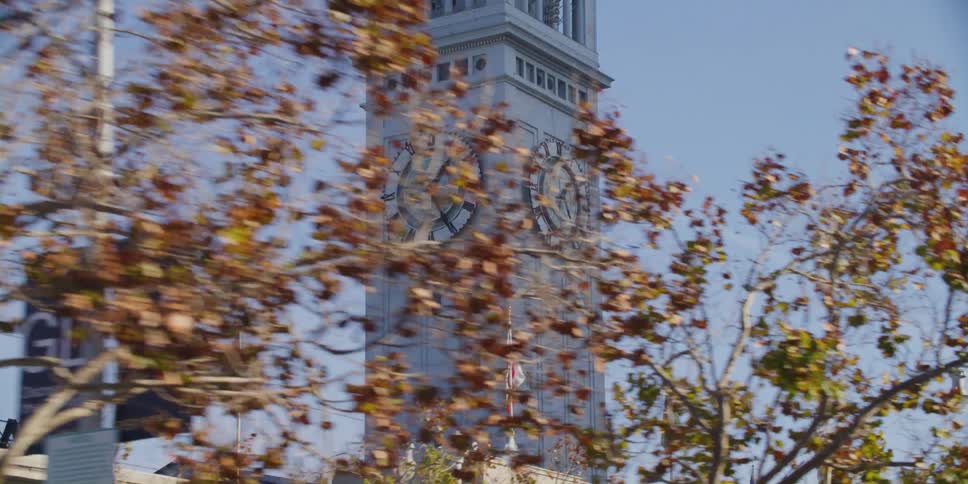 Tall buildings in a city is displayed in autumn