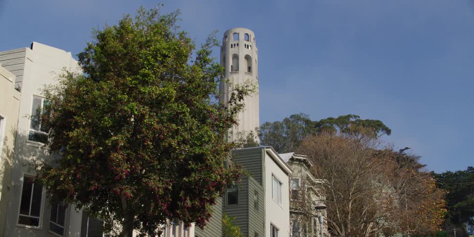 San francisco coit tower hiding behind a tree in a neighborhood at daytime