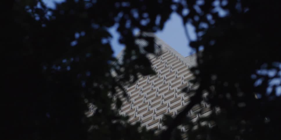 The transamerica pyramid building in san francisco behind the trees