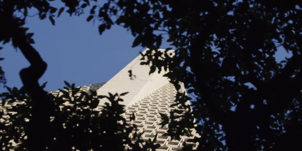 A skyscraper with a triangular shape sits behind a line of trees