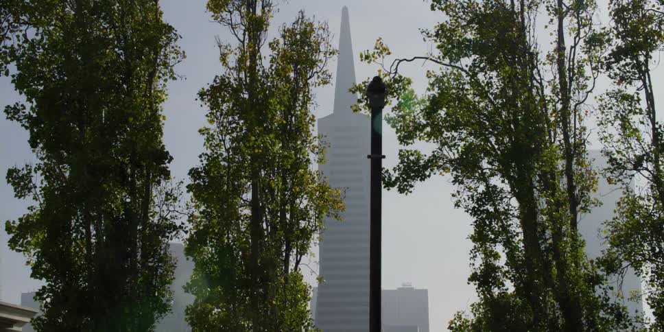 High rise city buildings with tower building seen from public park behind trees