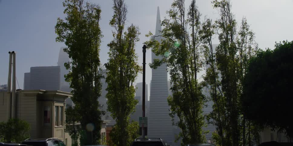 The city skyline is visible from across a neighborhood