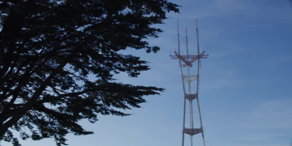 A large power line tower is behind the tree