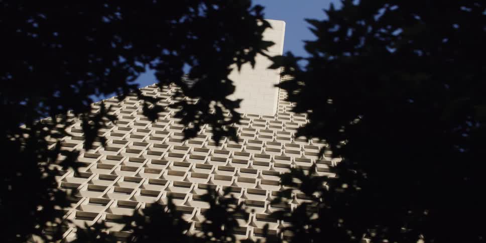 Tall triangular building with multiple windows