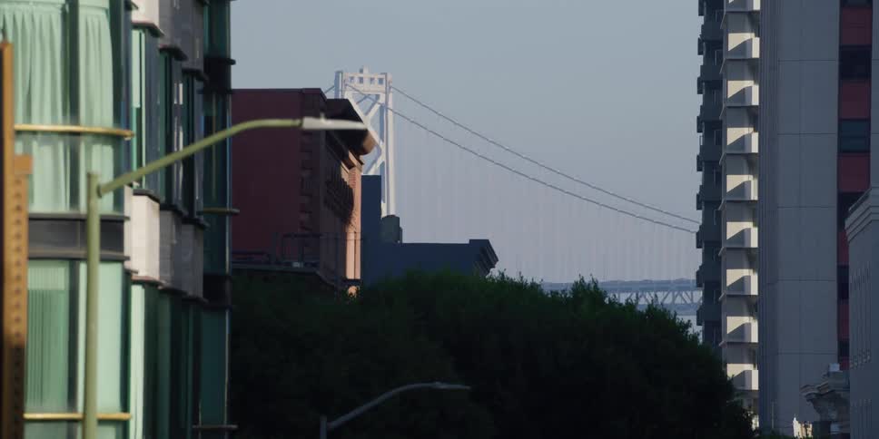 A large bridge is past the buildings