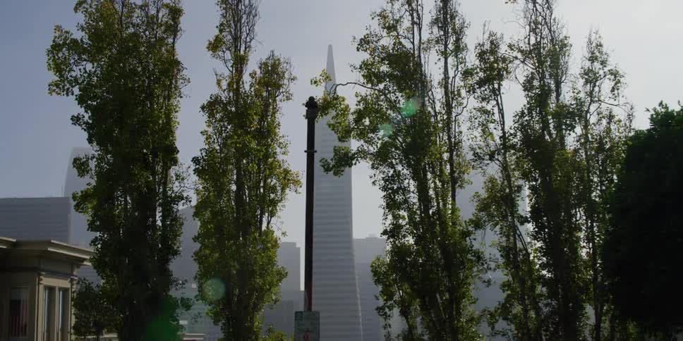Transamerica pyramid building under the smog in the city of san francisco at morning