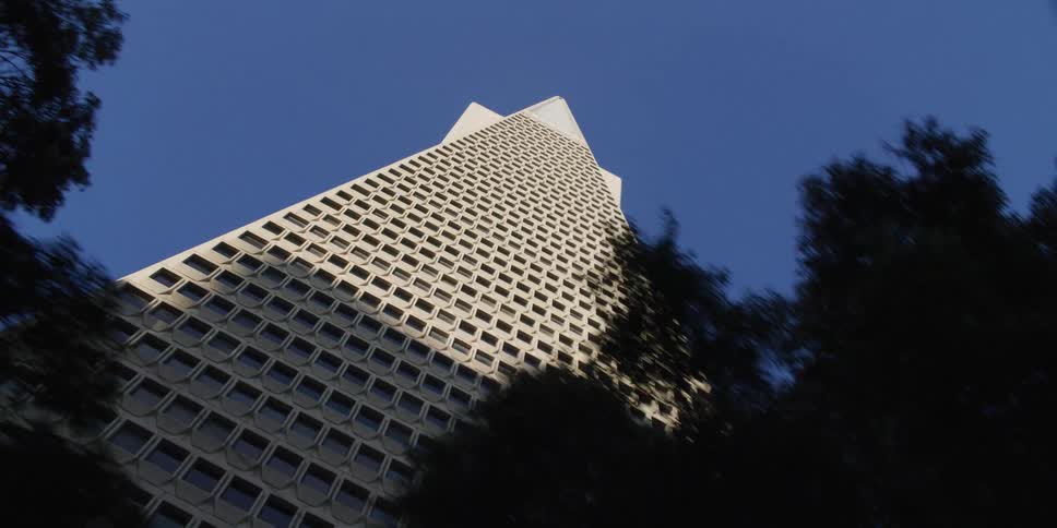 Shadow sits low on pyramidal shaped skyscraper that towers over trees