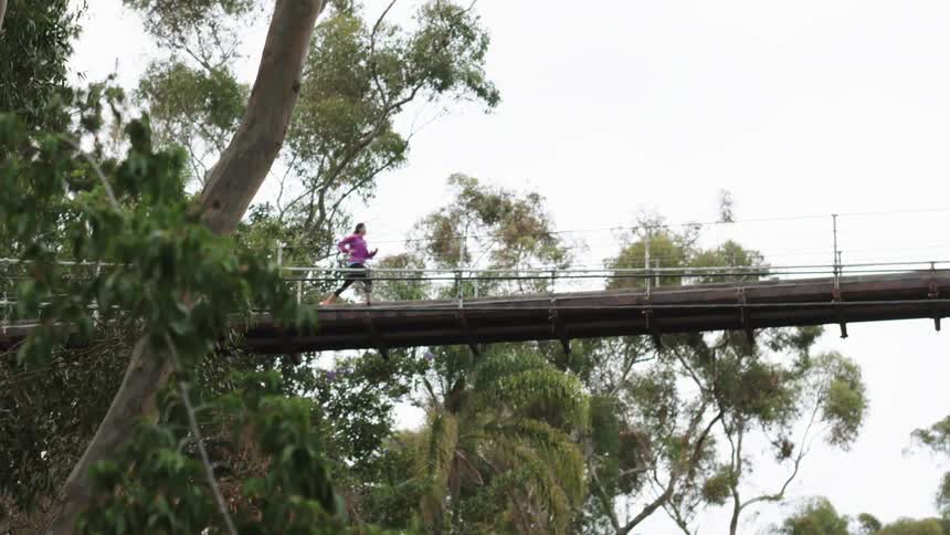 A jogger crosses a wooden bridge in the midst of some trees