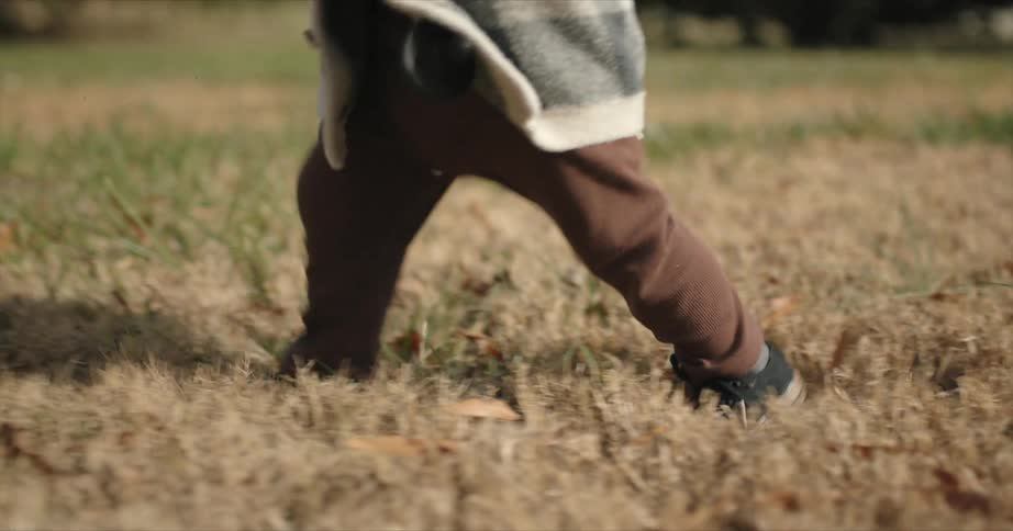 Closeup of toddler legs walking through dry grass on a field