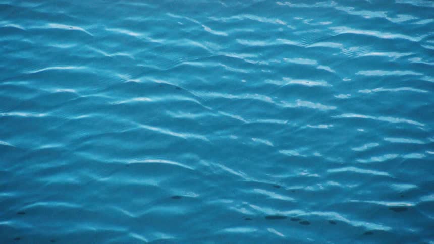 Sunlight shimmers on the rippling surface of blue water