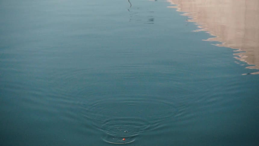 The fishing lure moves in the water