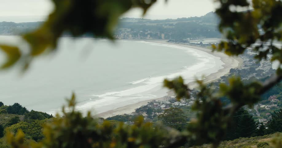 Wind blows tree branches on a hill overlooking the ocean and beach below