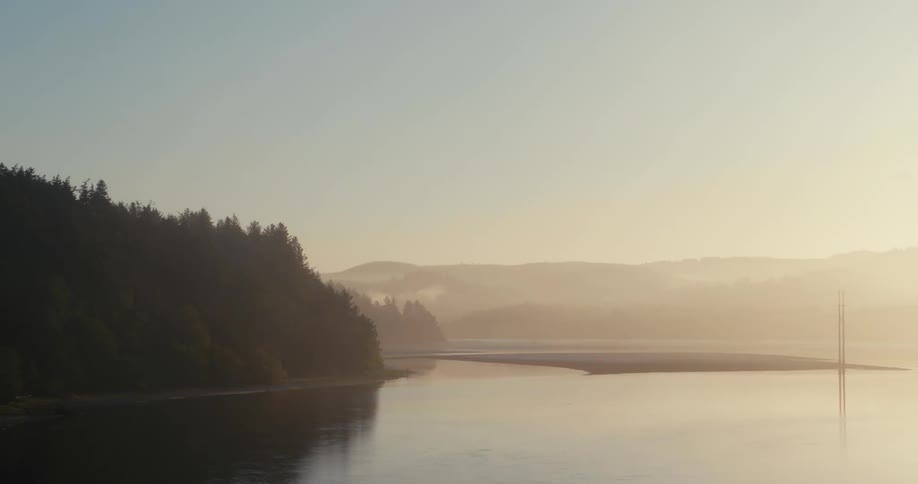 Heavy fog sits over a bridge running above a river and forest