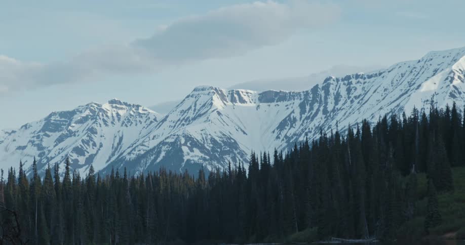 A forest of trees is at the foot of a snow covered mountain range