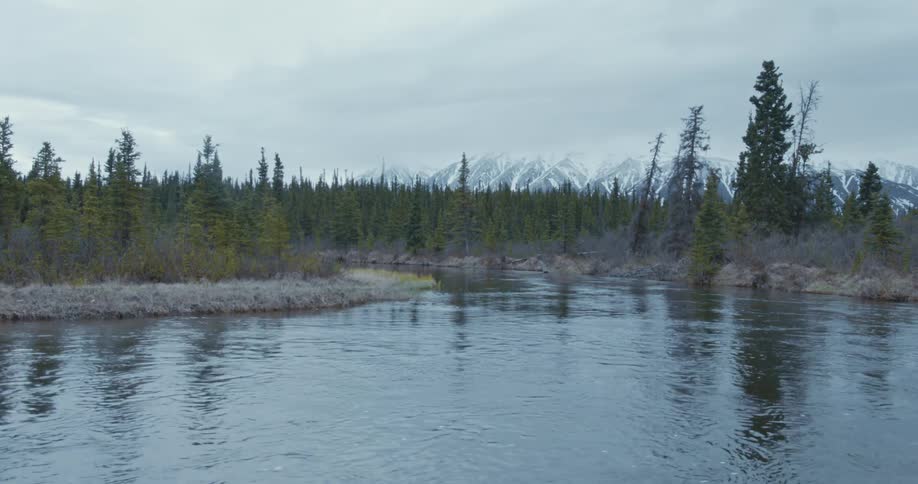 River water flows past conifer forest as snow covered mountains on the horizon
