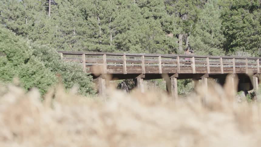 A woman jogging across a wooden bridge in a forest
