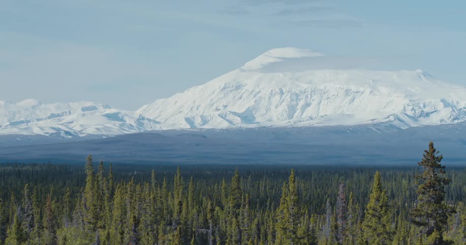 A forest of trees is at the foot of a snow covered mountain range