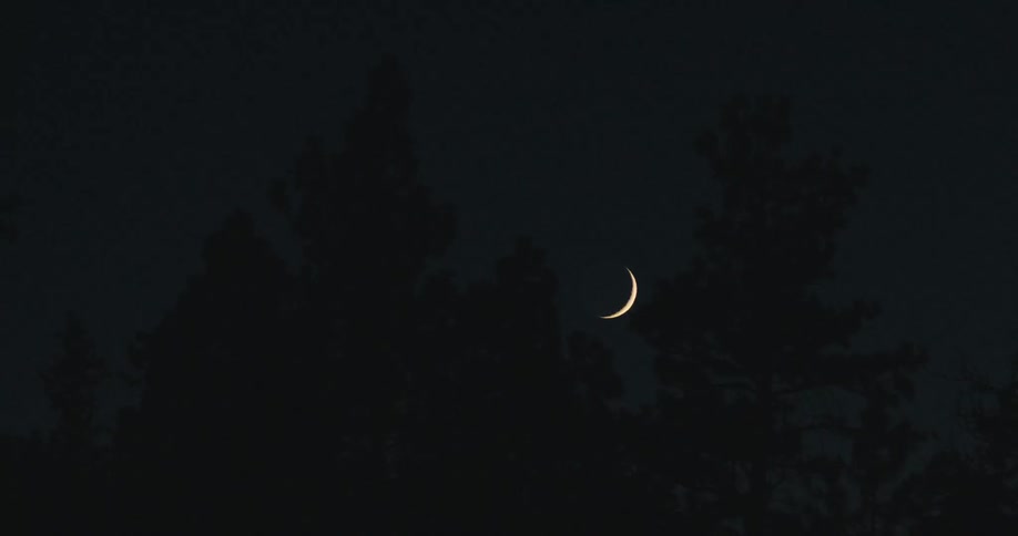 Waxing crescent moon at night with trees in front of it