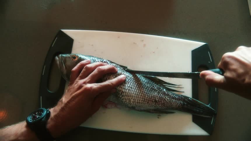 Man wearing a watch cutting a dead fish with a big knife on a cutting board