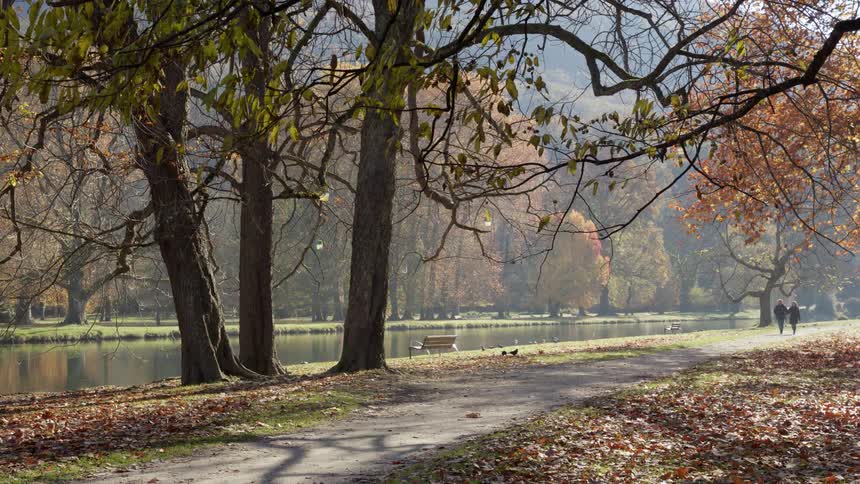 Two people are walking on a sidewalk through a park with orange leaves scattered on the ground near a lake and trees