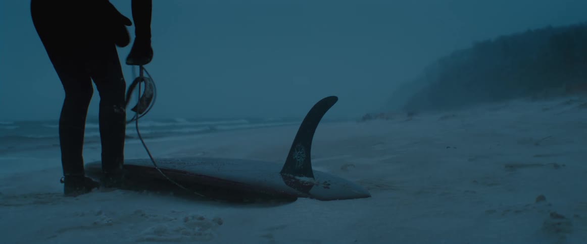A person is on the beach with a surfboard