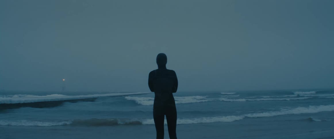 Surfer wearing a black wet suit standing on a beach looking at the ocean at evening