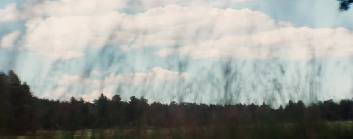 A very cloudy sky with foliage waving in the wind in the foreground